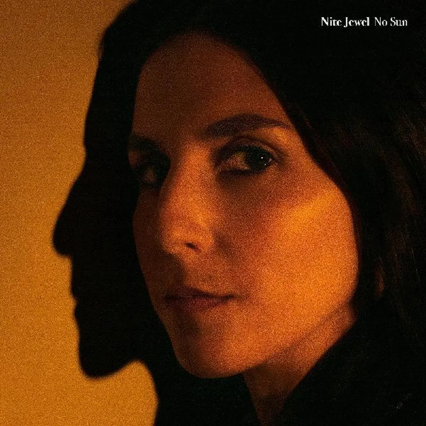 Nite Jewel No Sun Vinyl Record