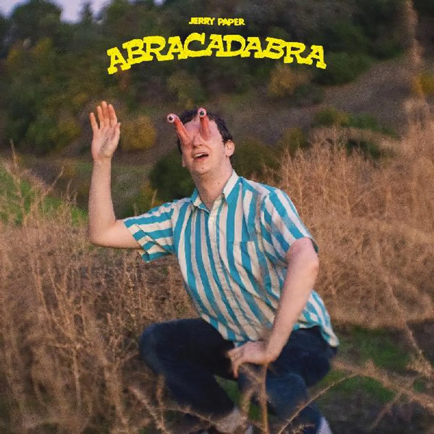 Jerry Paper Abracadabra Vinyl Record