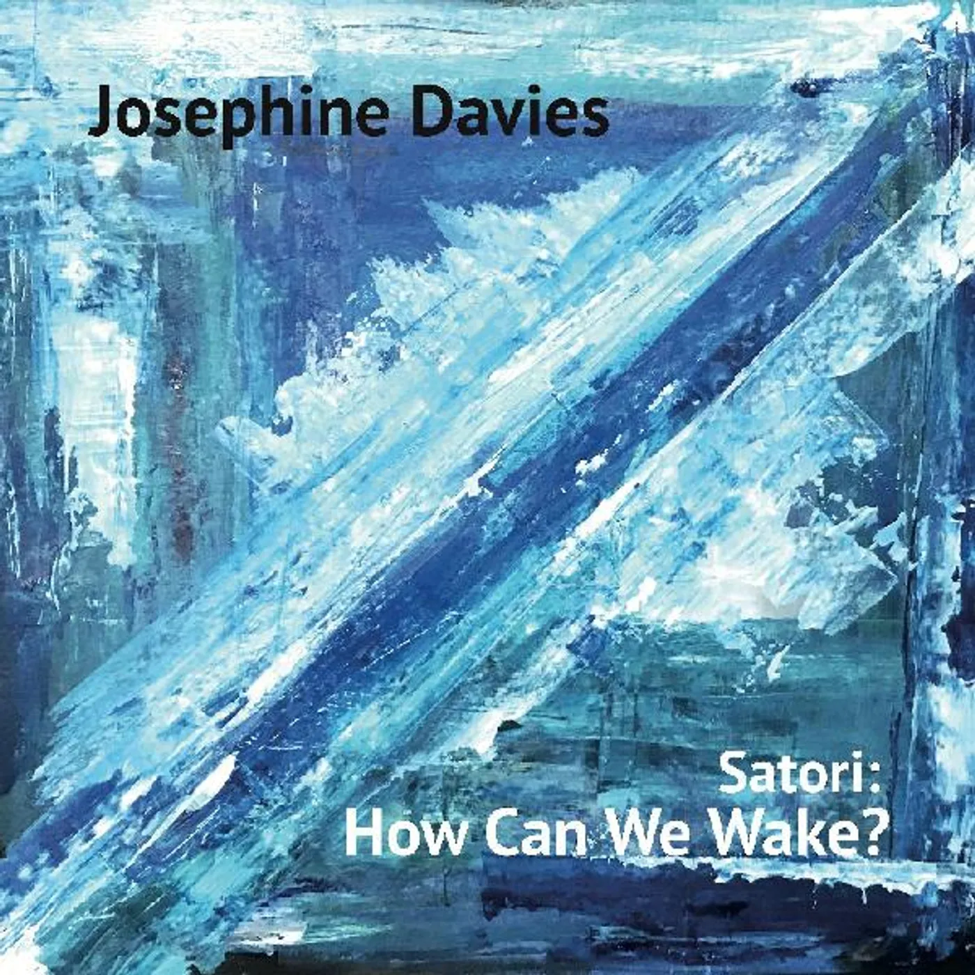 Josephine Davies SATORI: HOW CAN WE WAKE Vinyl Record