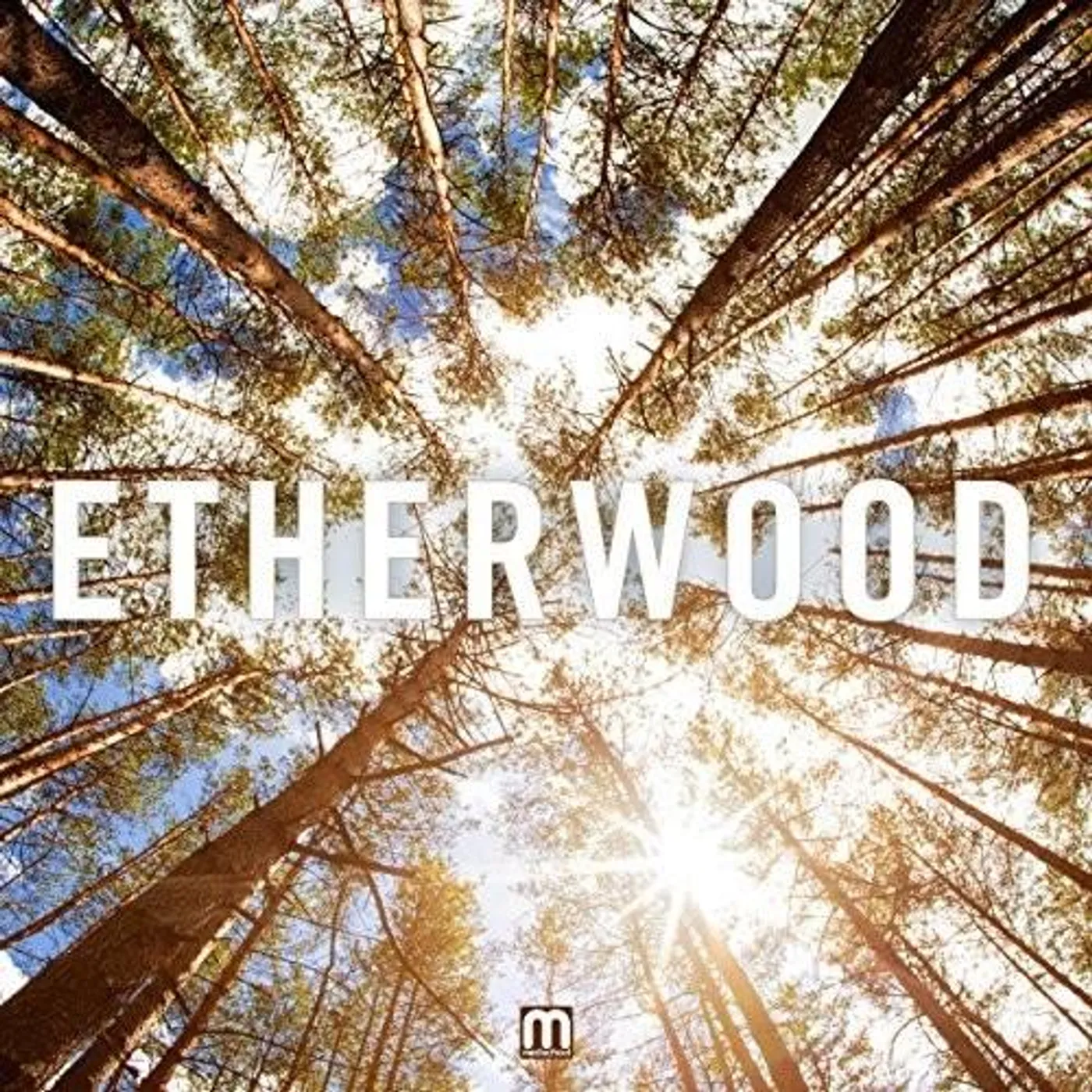 Etherwood Vinyl Record