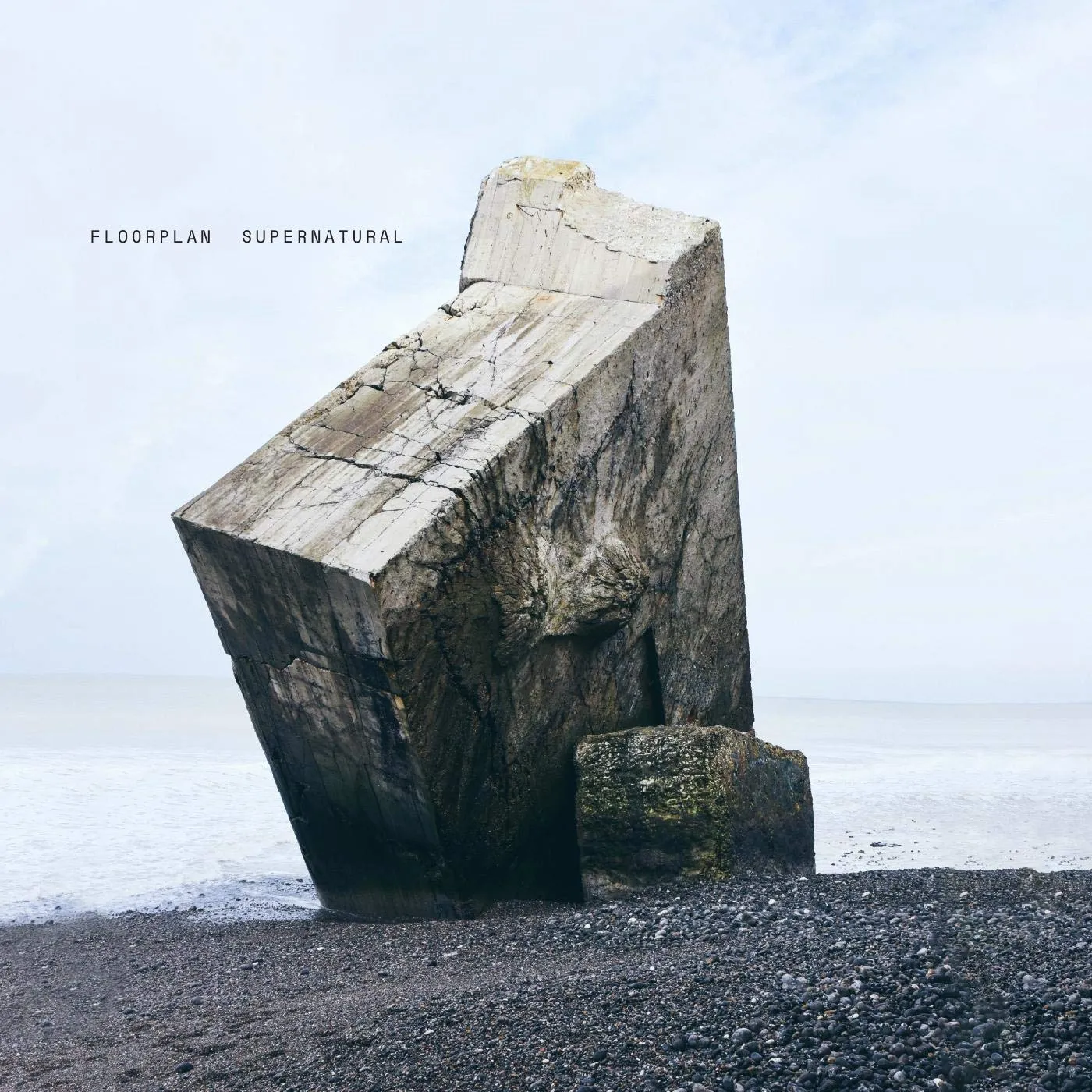 Floorplan Supernatural Vinyl Record