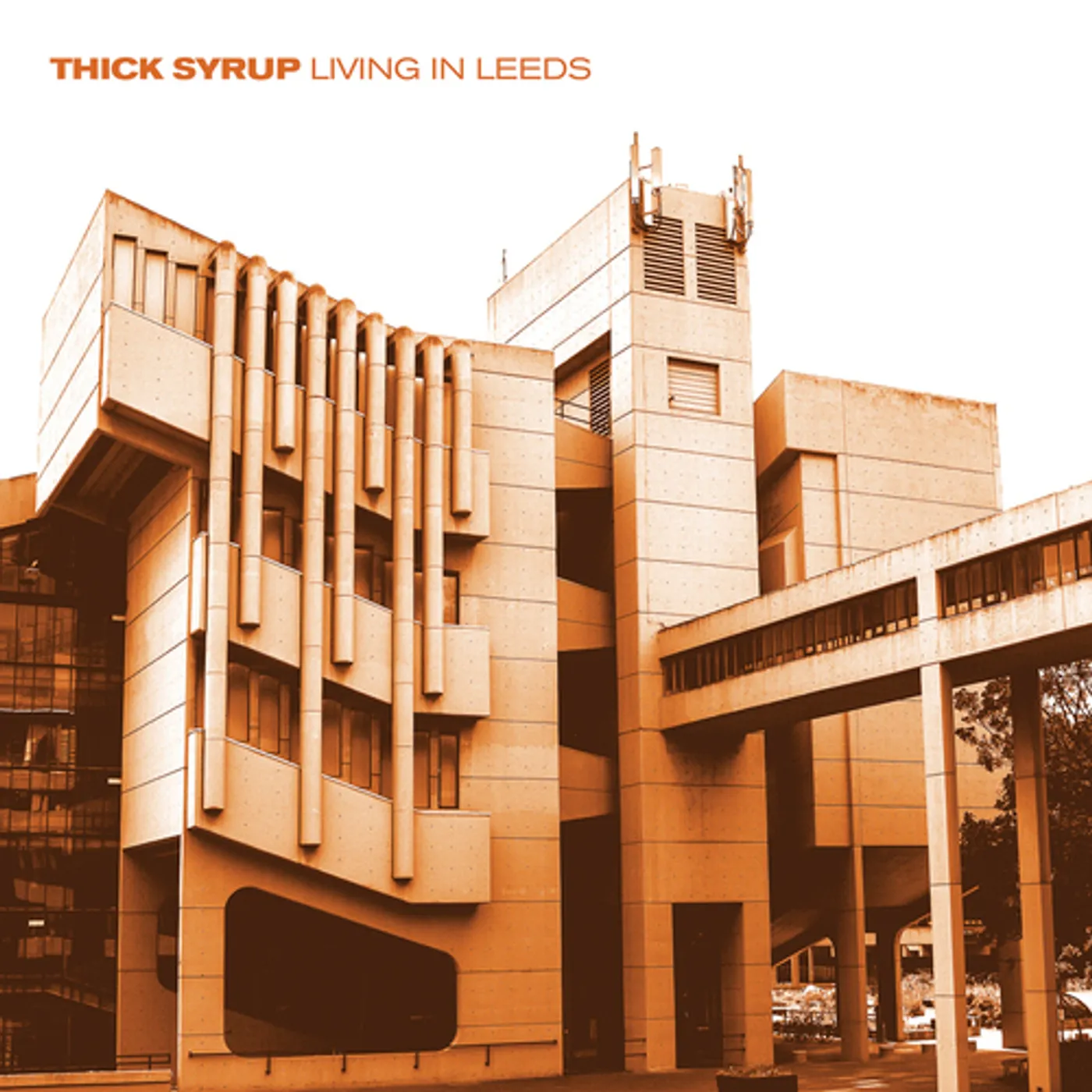 Thick Syrup Living In Leeds Vinyl Record