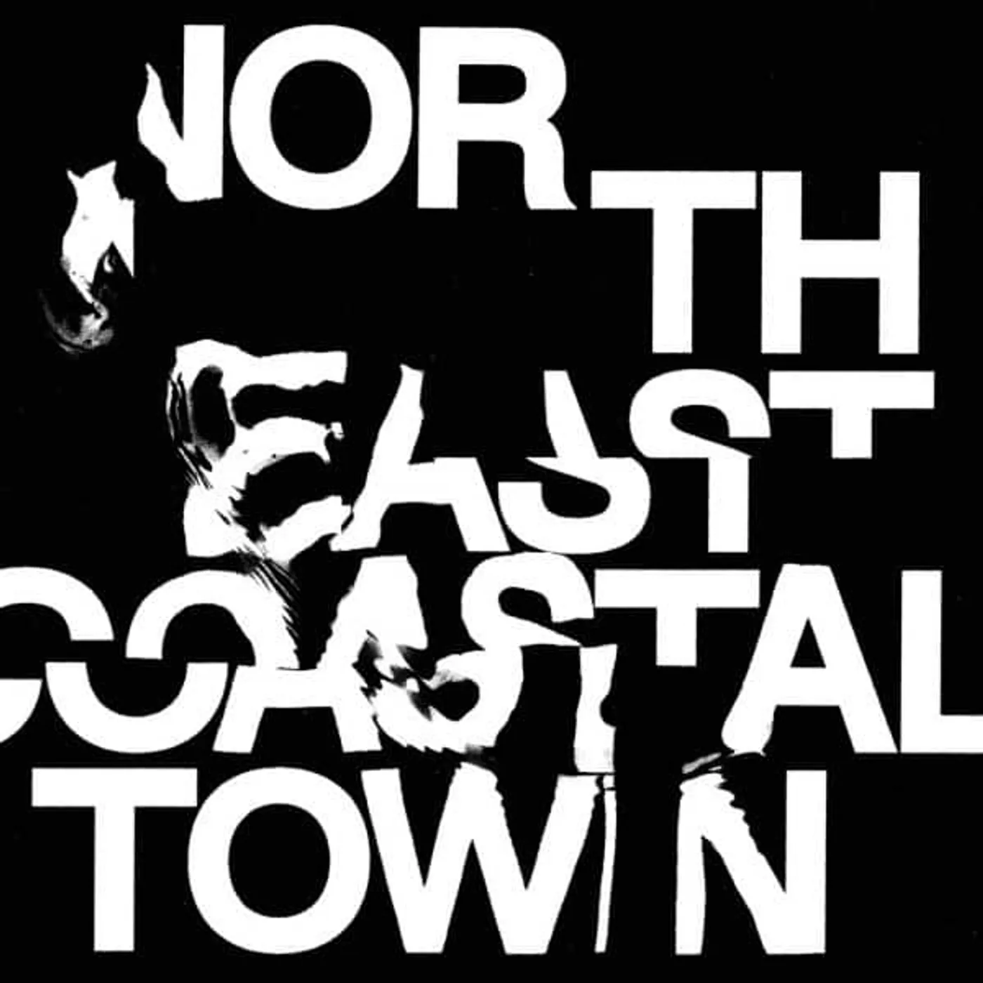 Life North East Coastal Town Vinyl Record