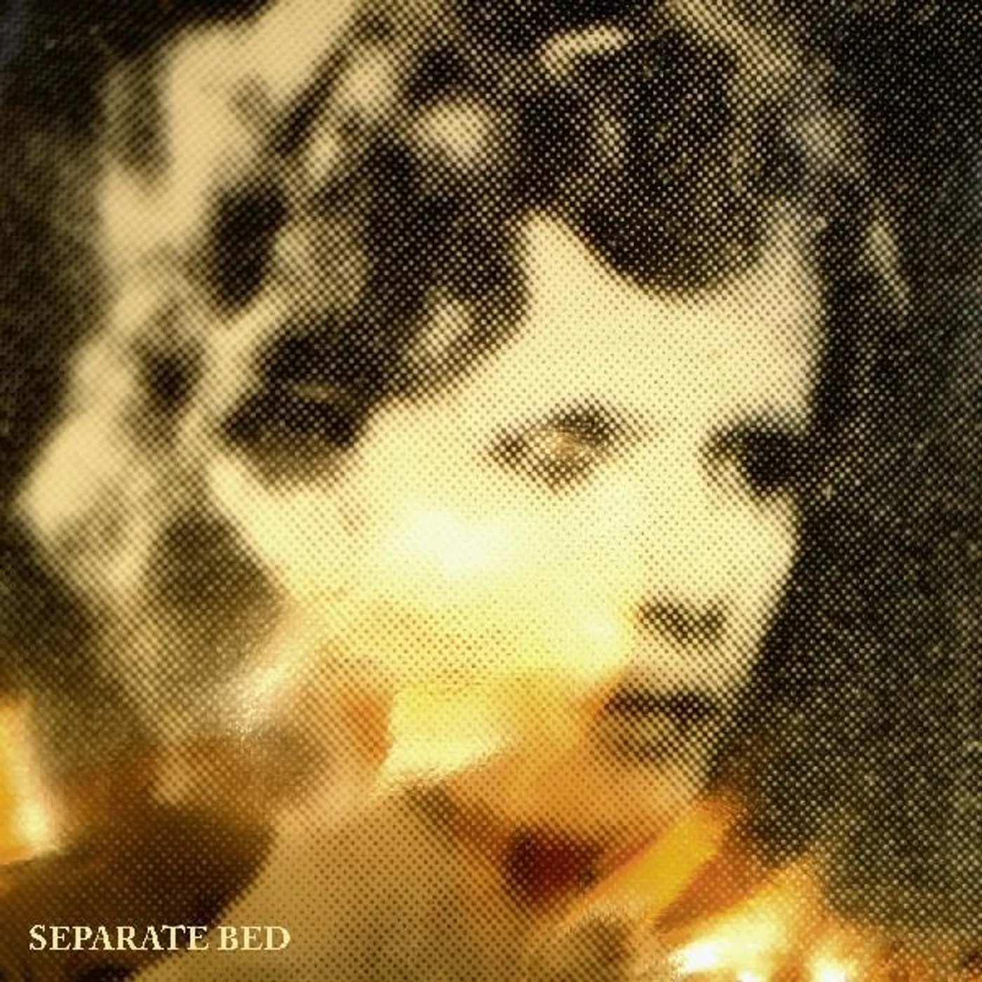 Separate Bed Vinyl Record