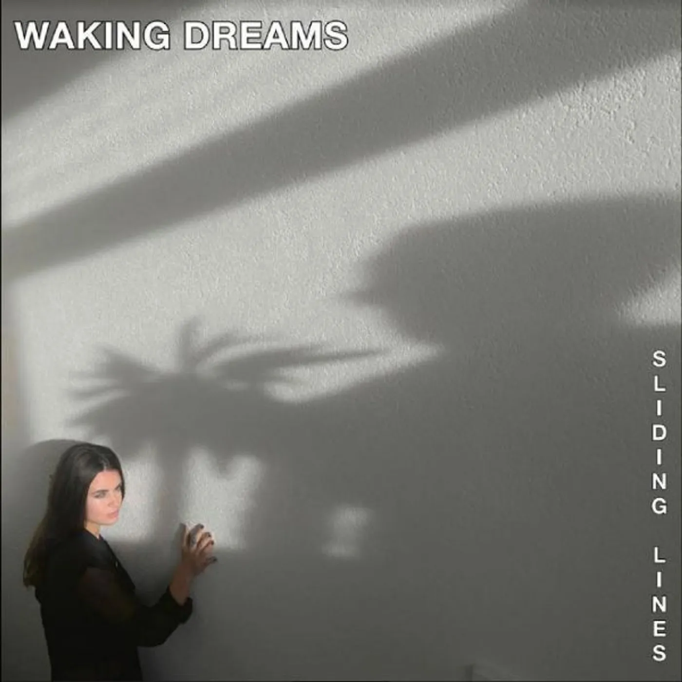 Waking Dreams Sliding Lines     Lp Vinyl Record
