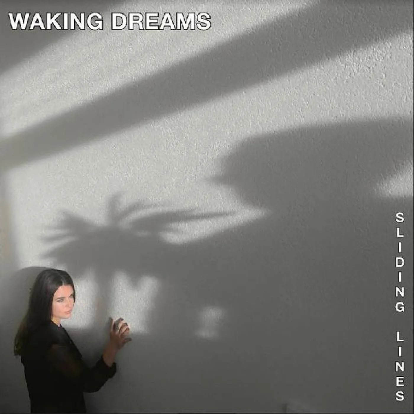Waking Dreams Sliding Lines Vinyl Record