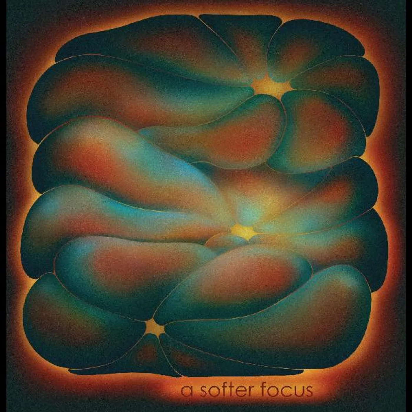 claire rousay SOFTER FOCUS Vinyl Record