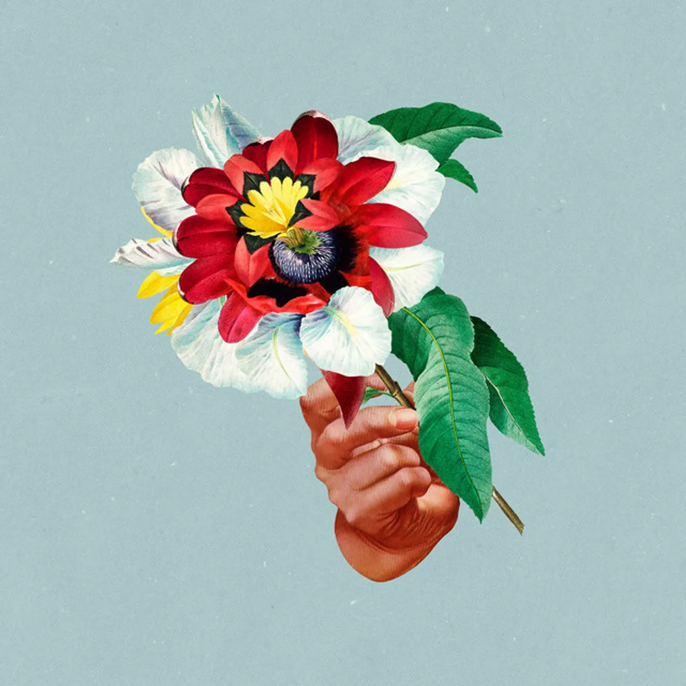 Maribou State Kingdoms In Colour Vinyl Record