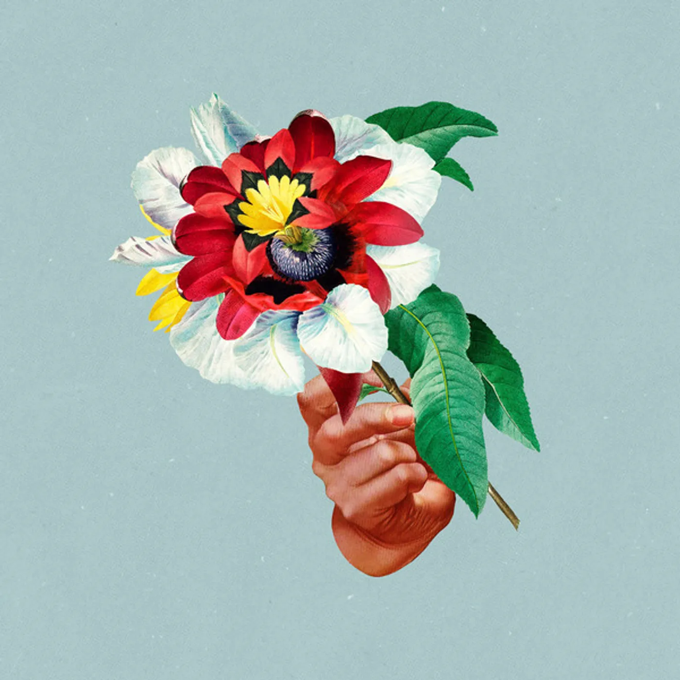 Maribou State Kingdoms In Colour (Limited Turquoise Vi Vinyl Record