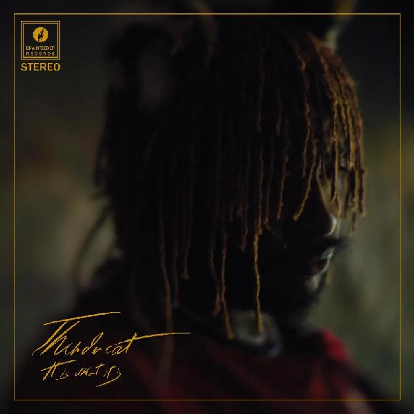 Thundercat It Is What It Is Clear Vinyl Record