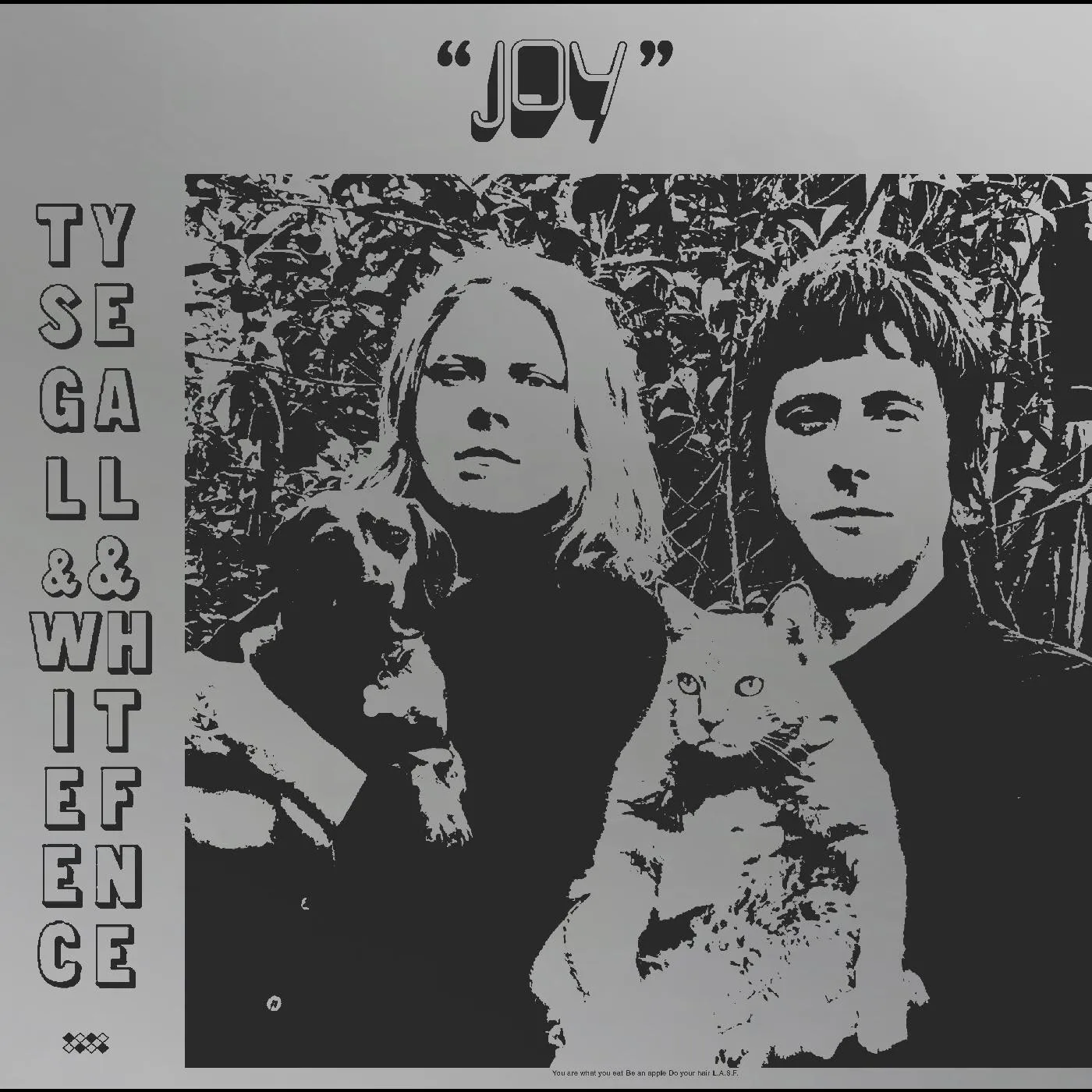 Ty Segall and White Fence JOY Vinyl Record