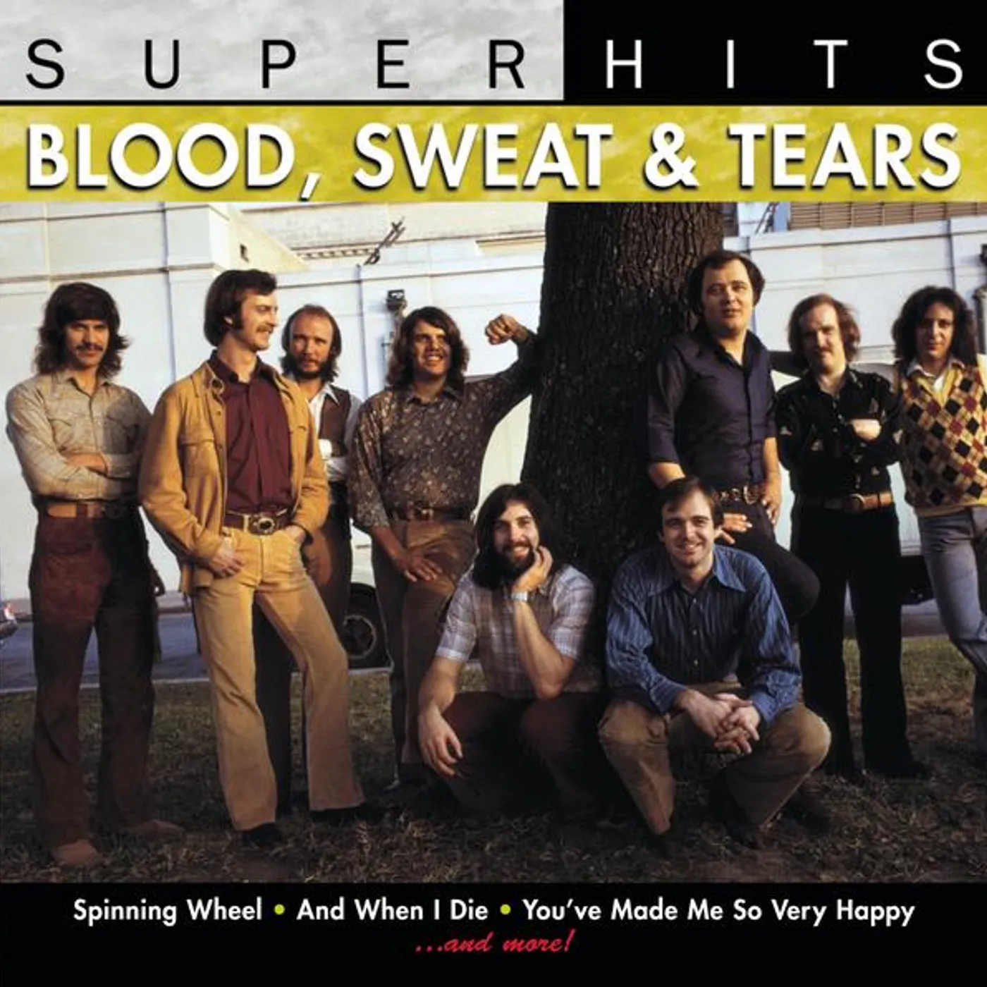 Blood, Sweat & Tears SUPER HITS CD