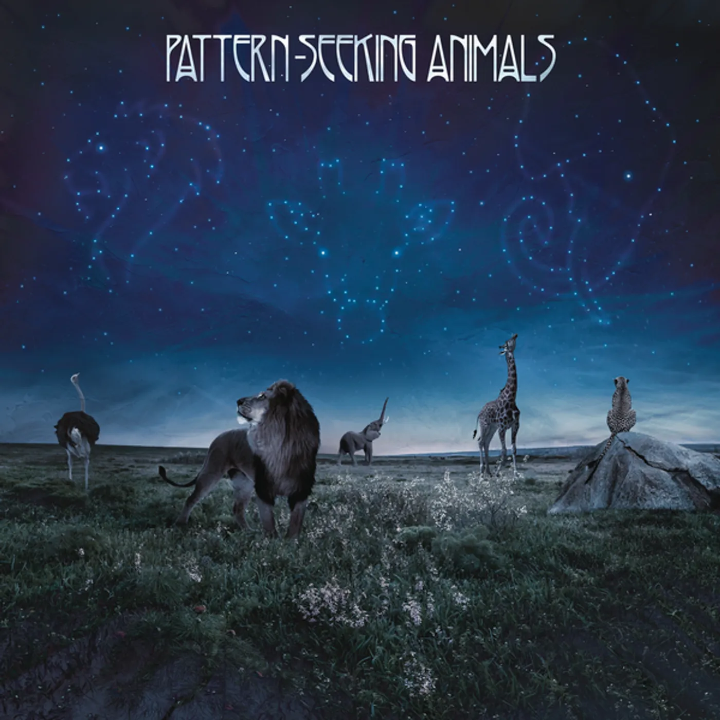 Pattern-Seeking Animals CD