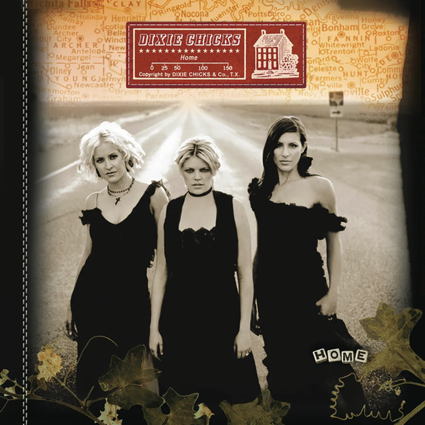 The Chicks Home Vinyl Record