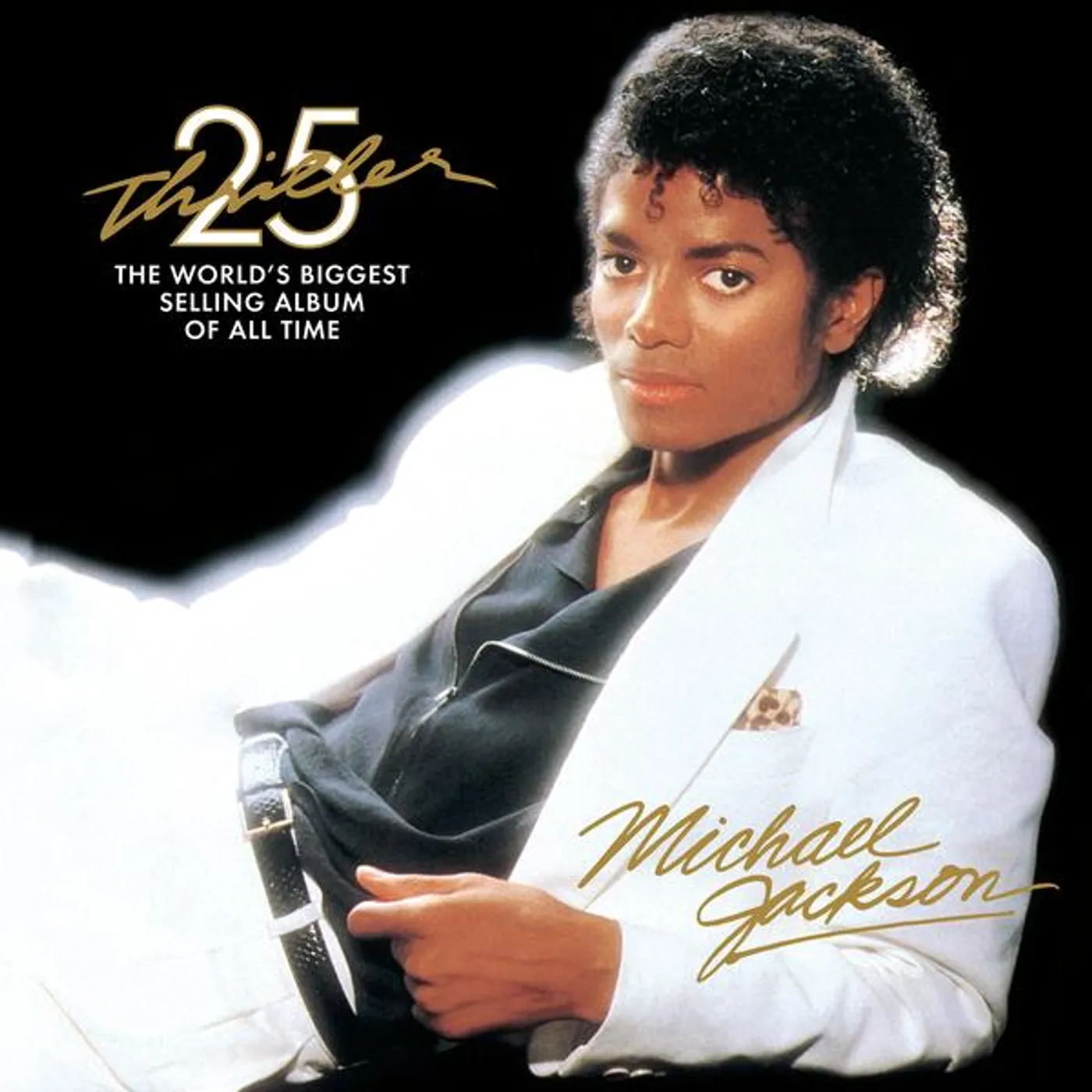 Michael Jackson THRILLER (25TH ANNIVERSARY EDITION/2LP/180G/GATEFOLD) Vinyl Record
