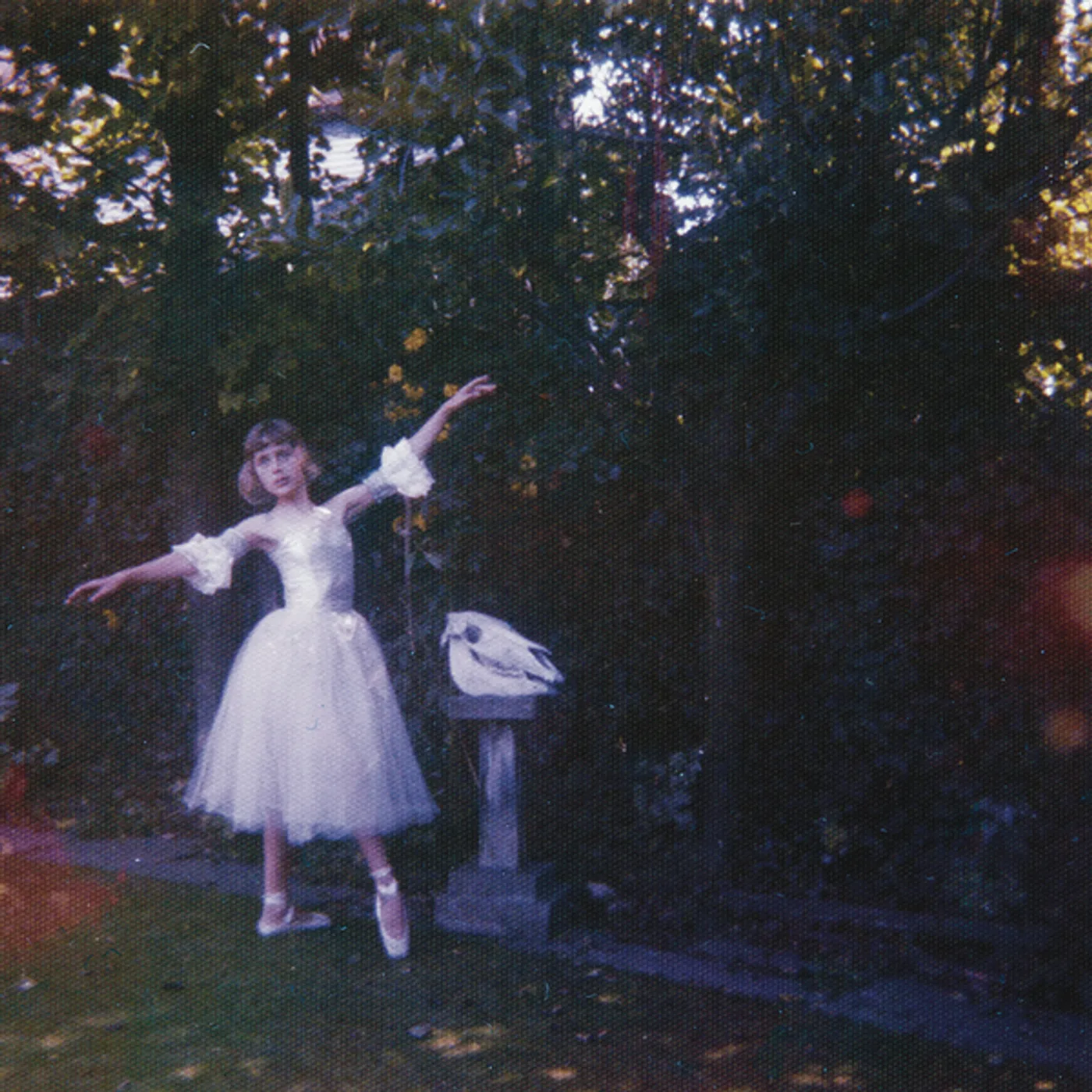 Wolf Alice Visions Of A Life Vinyl Record
