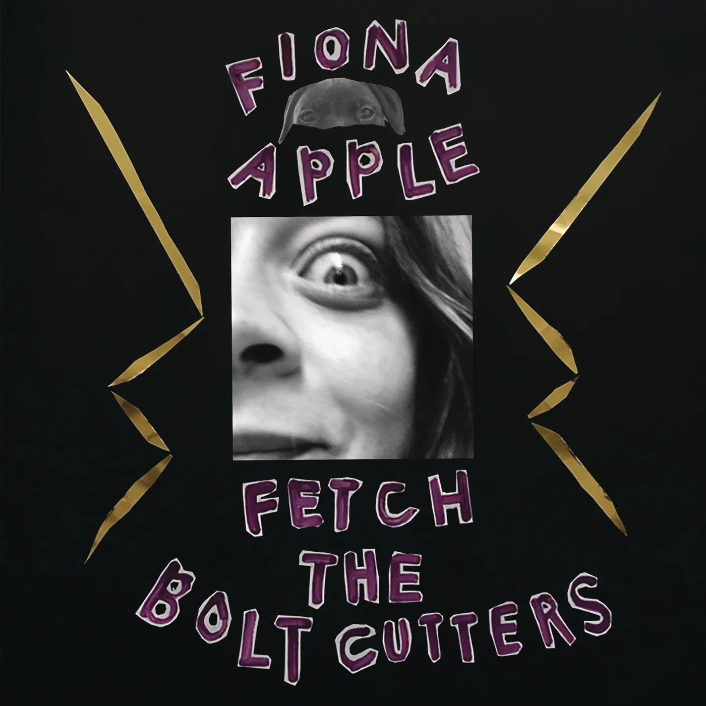 Fiona Apple FETCH THE BOLT CUTTERS (180G/2LP/DL INSERT) Vinyl Record