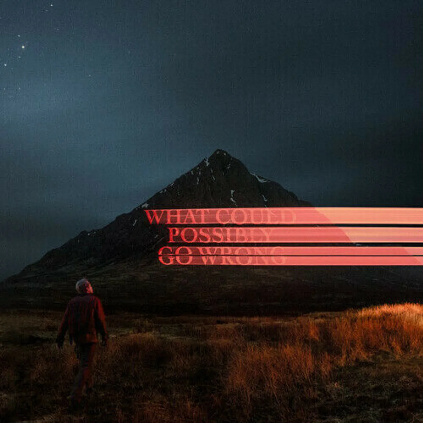 Dominic Fike WHAT COULD POSSIBLY GO WRONG (X) (150G/CLEAR VINYL/GATEFOLD JACKET) Vinyl Record
