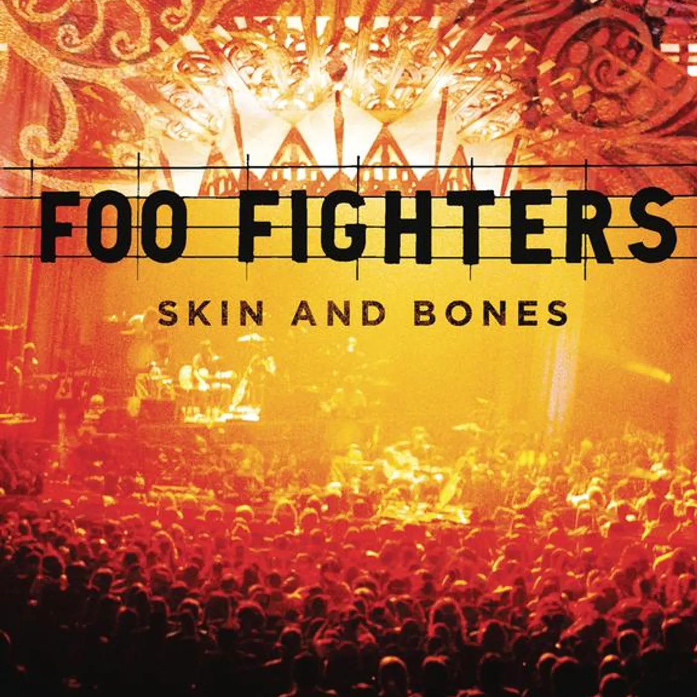 Foo Fighters SKIN & BONES (2LP/DL CARD) Vinyl Record