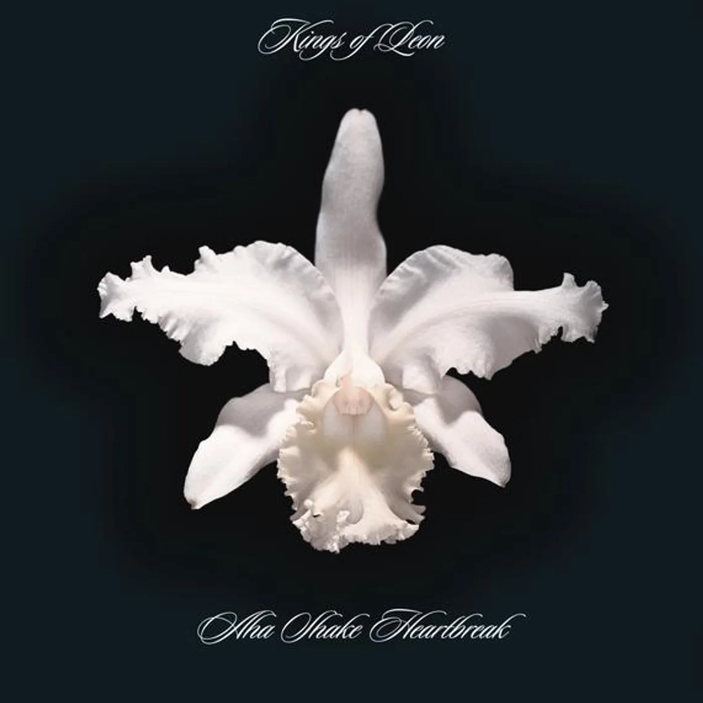 Kings of Leon AHA SHAKE HEARTBREAK (2LP/180G/GATEFOLD) Vinyl Record