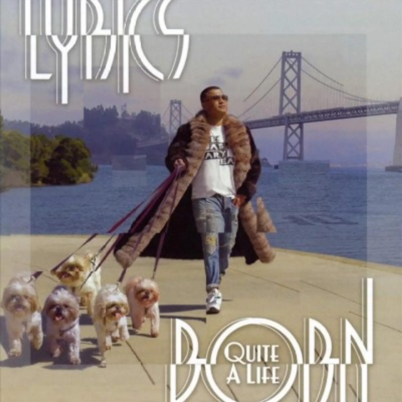 Lyrics Born QUITE A LIFE CD