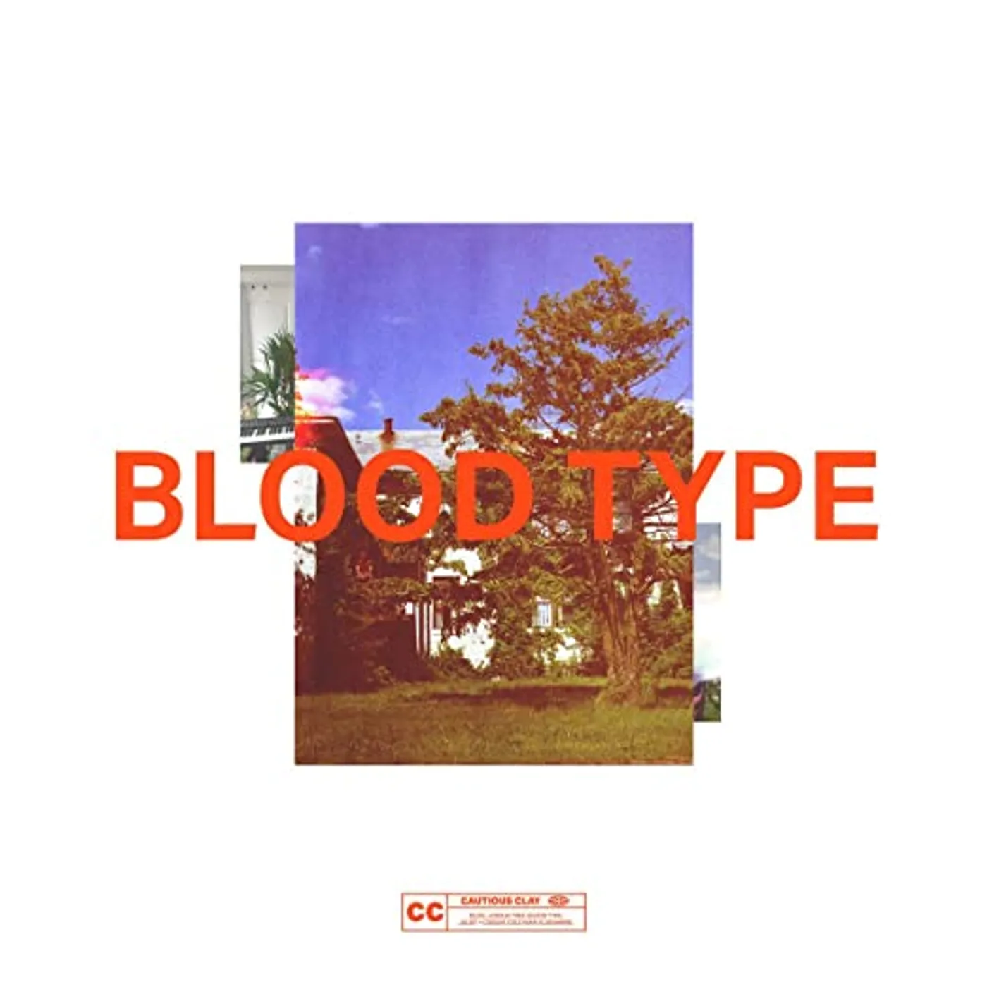 Cautious Clay Blood Type Vinyl Record