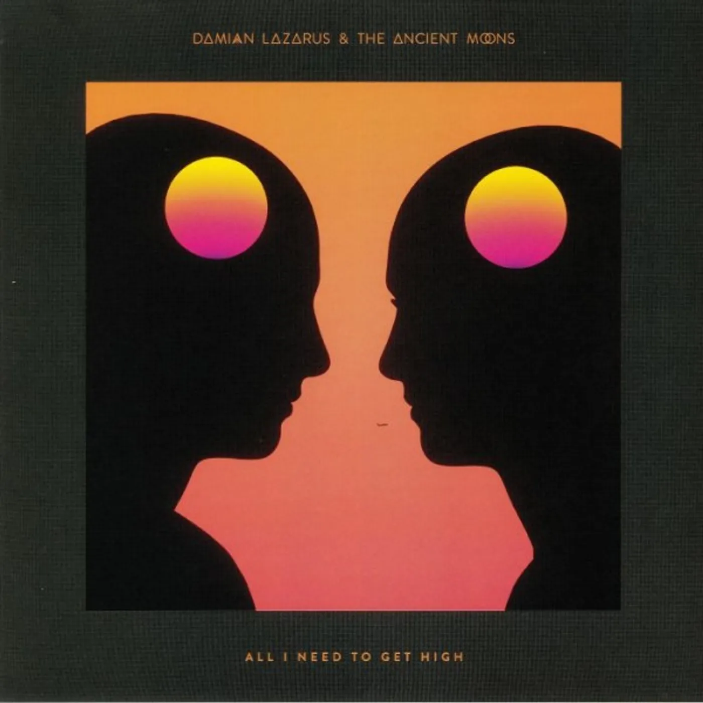Damian Lazarus & The Ancient Moons All I Need To Get High Vinyl Record