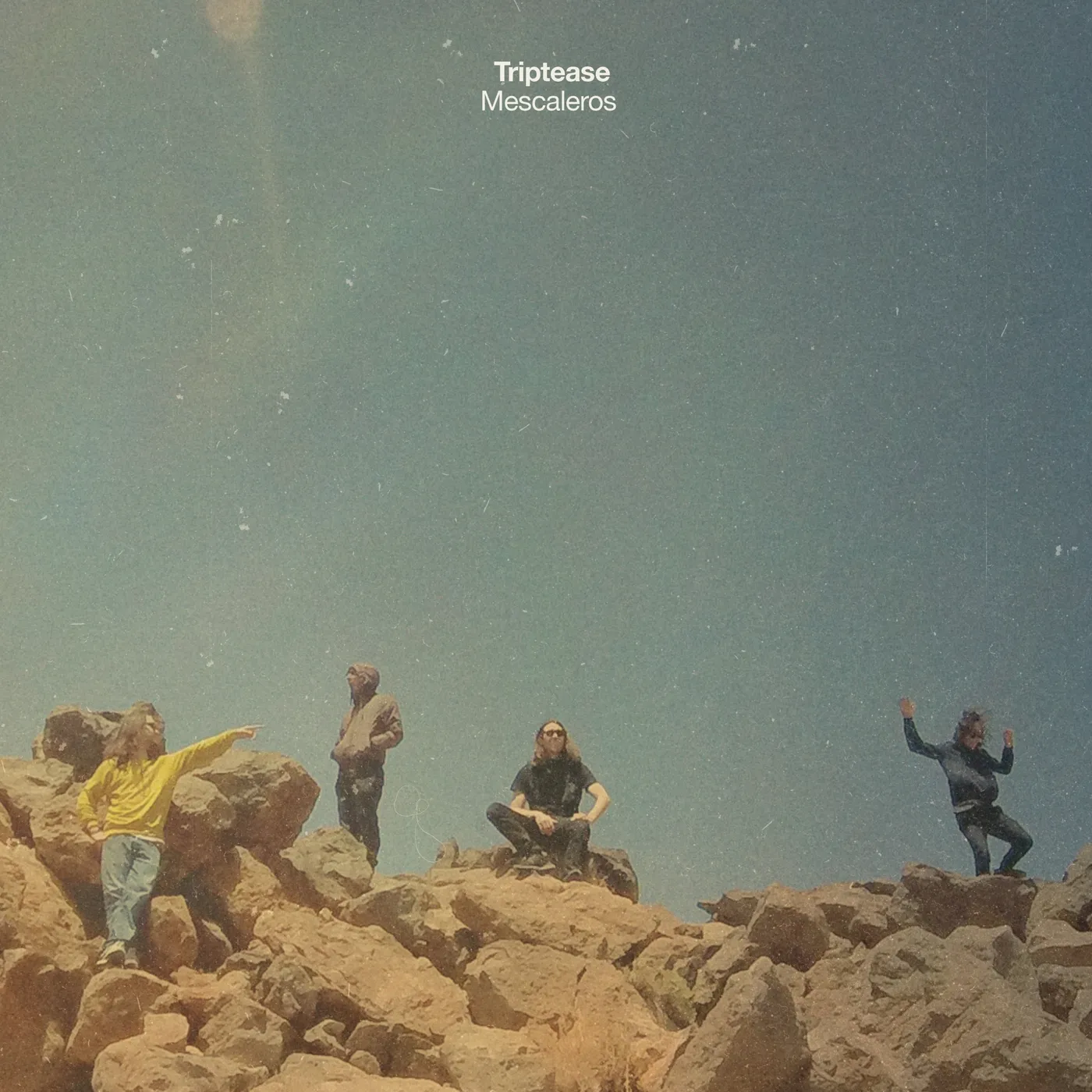 Triptease Mescaleros Vinyl Record