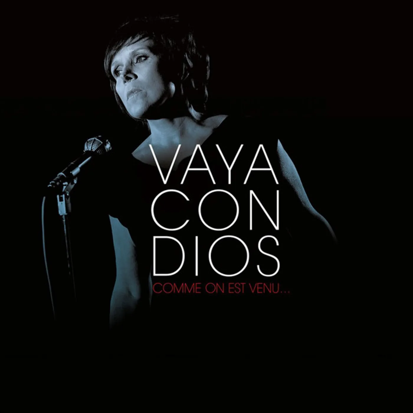 Vaya Con Dios Comme On Est Venu... Vinyl Record