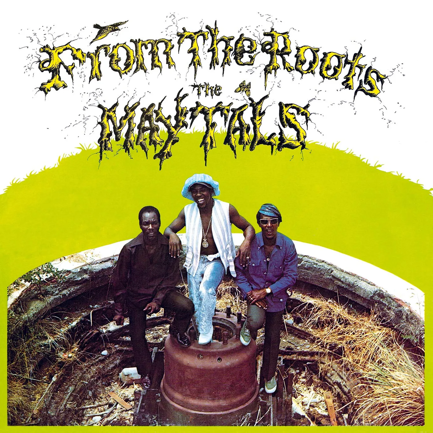 The Maytals From The Roots Vinyl Record