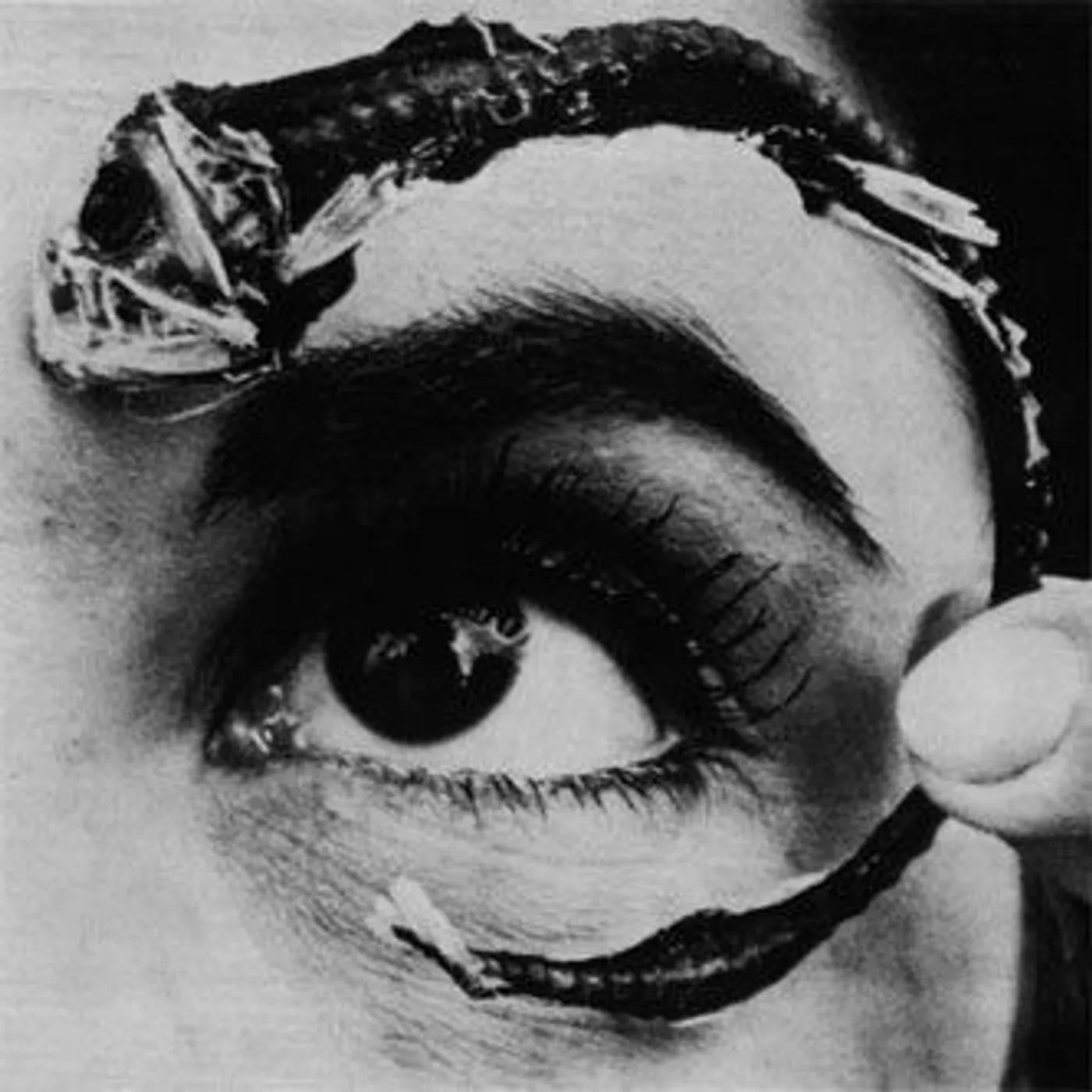 Mr. Bungle Disco Volante Vinyl Record