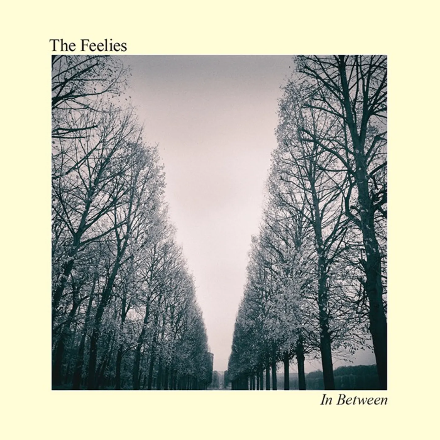 The Feelies In Between CD
