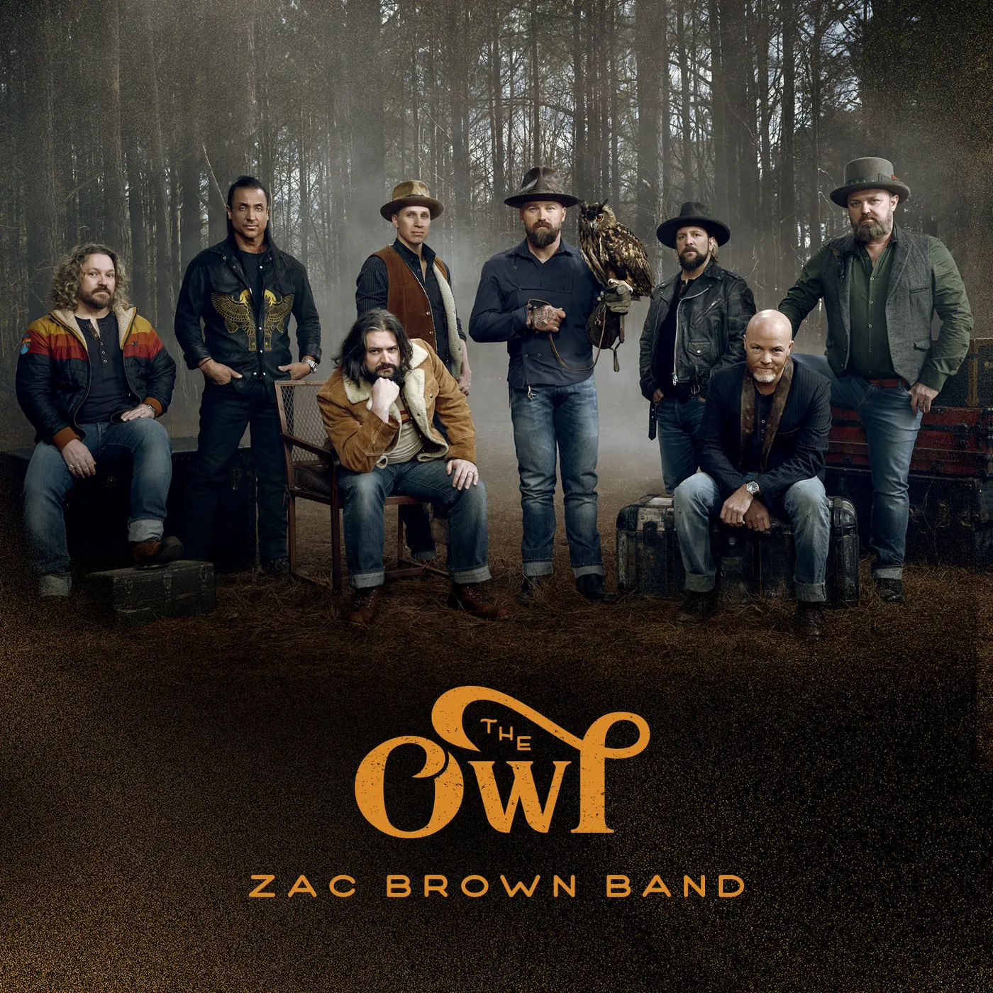 Zac Brown Band The Owl CD