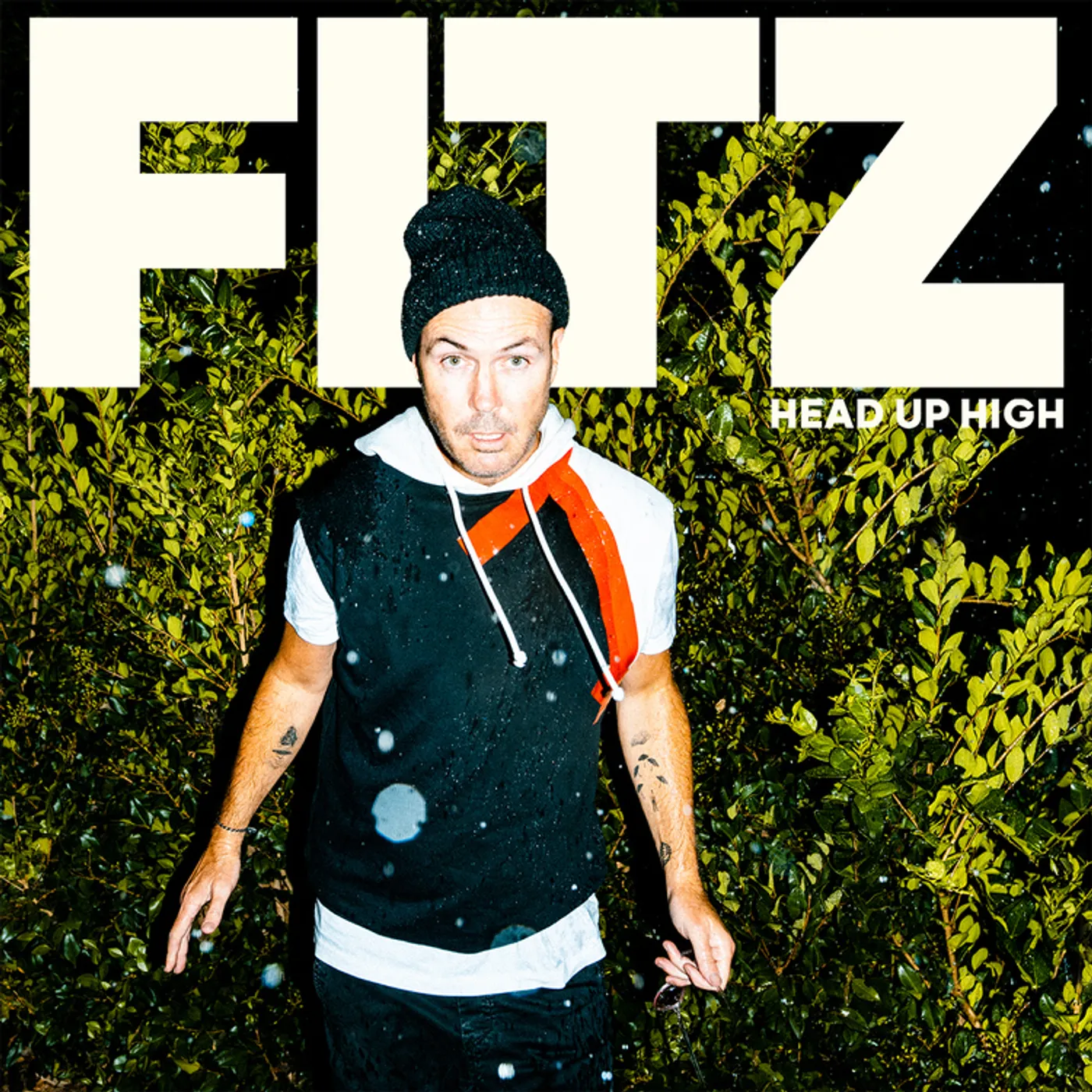 Fitz and The Tantrums HEAD UP HIGH CD