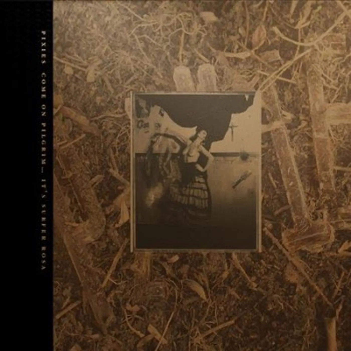 Pixies COME ON PILGRIM... IT'S SURFER ROSA Vinyl Record