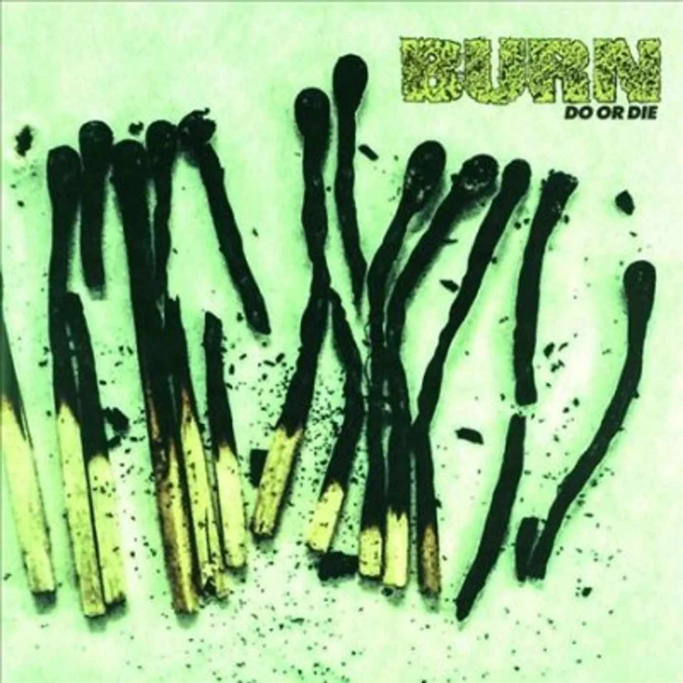 Burn Do or Die Vinyl Record