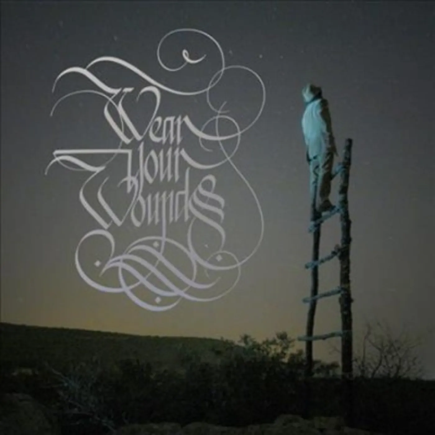Wear Your Wounds WYW Vinyl Record