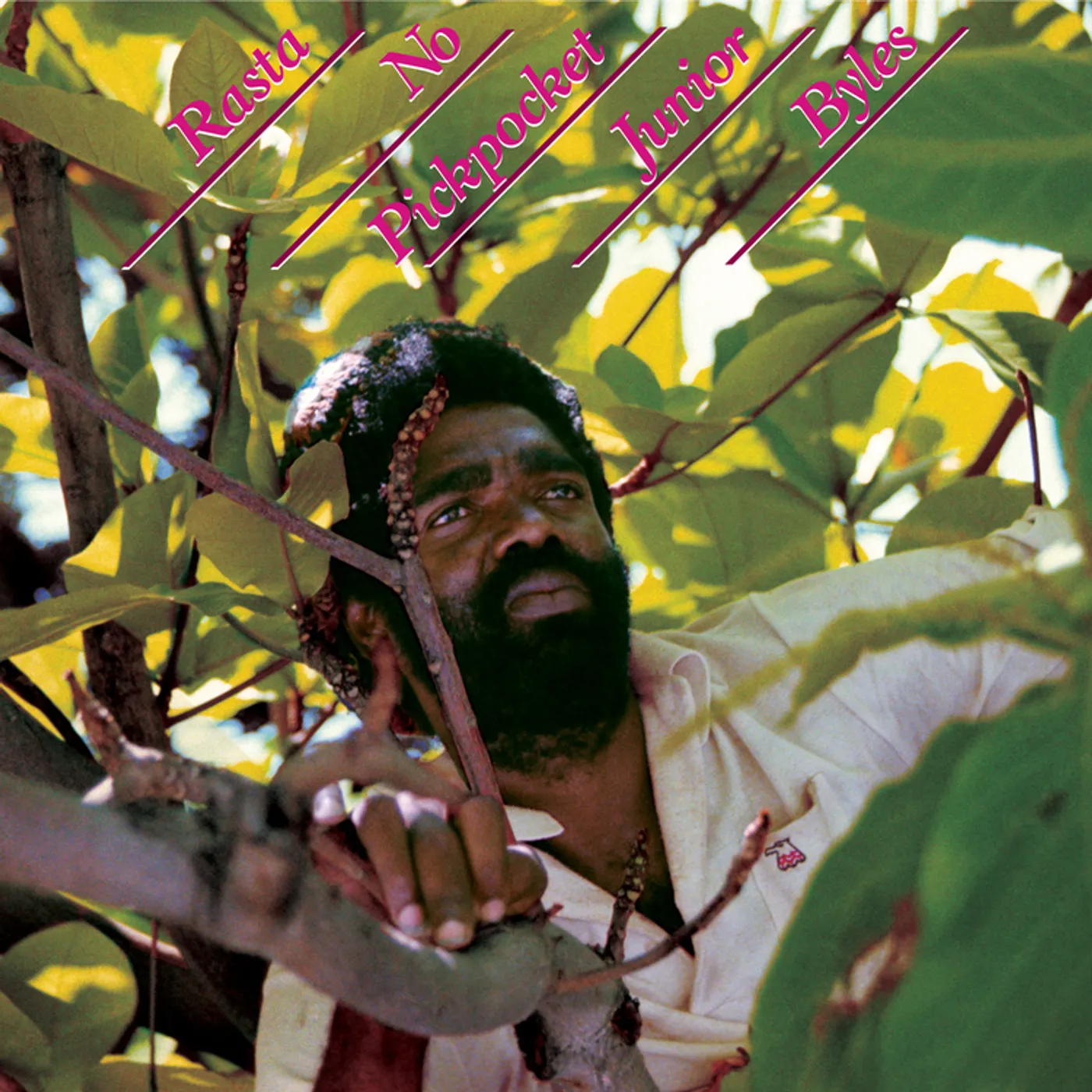 Junior Byles Rasta No Pickpocket Vinyl Record