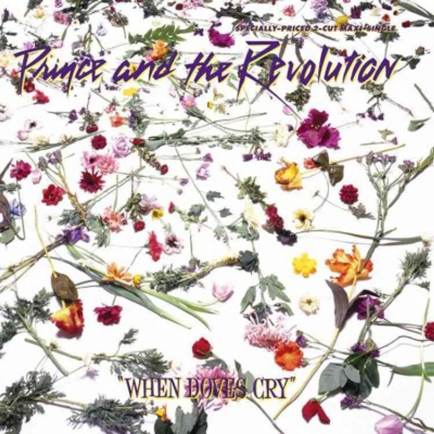 Prince And The Revolution When Doves Cry Vinyl Record