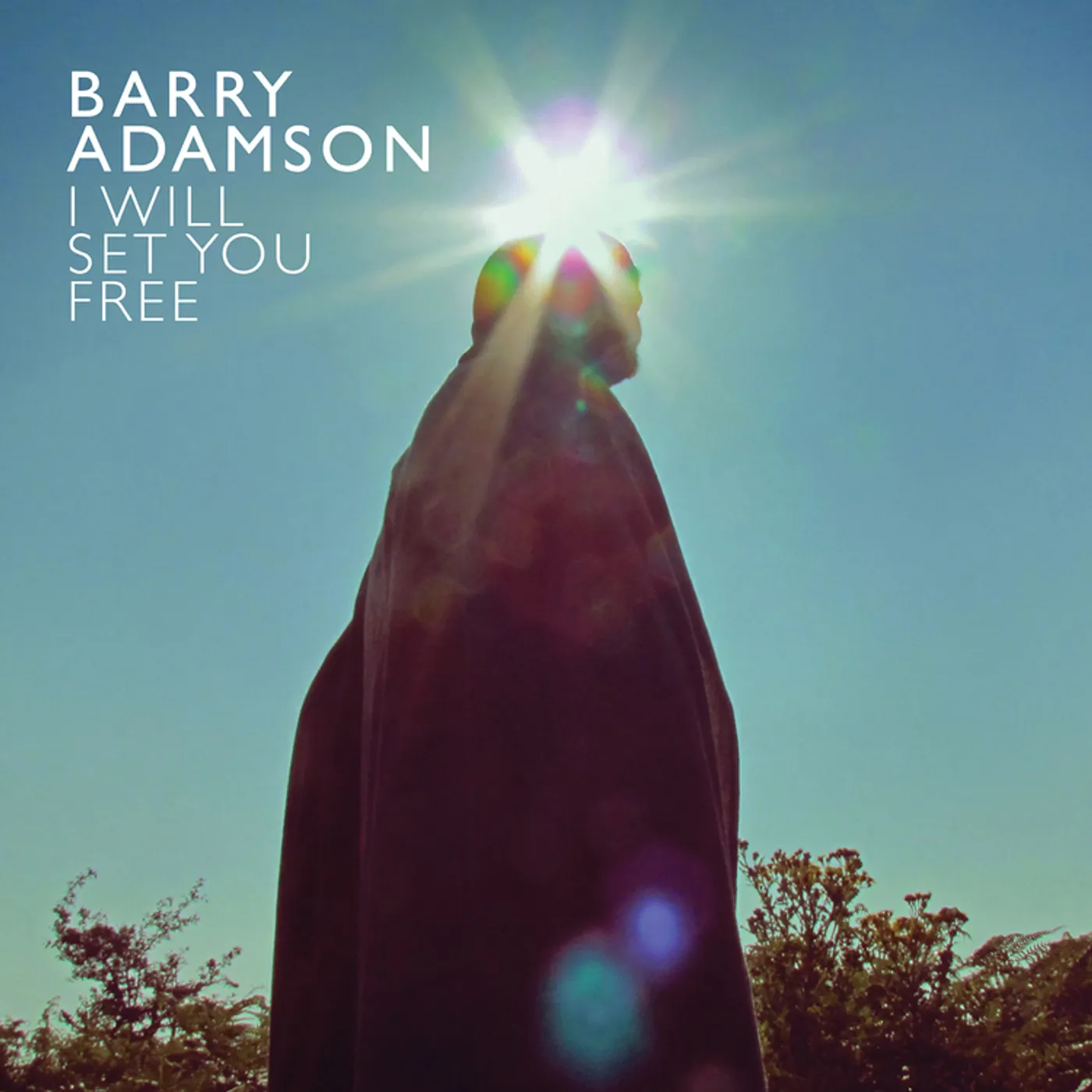 Barry Adamson I Will Set You Free  Ltd. Ed. Curacao vinyl record