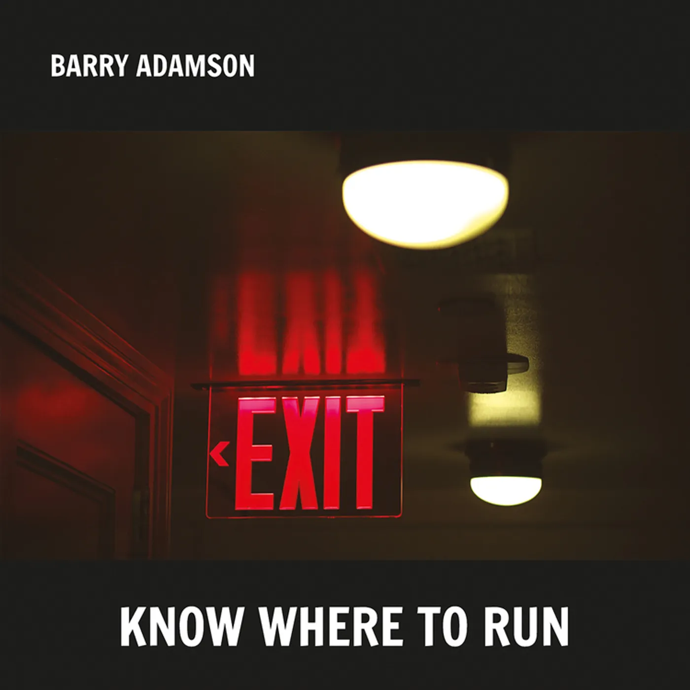 Barry Adamson Know Where To Run  Ltd. Ed. Silver vinyl record