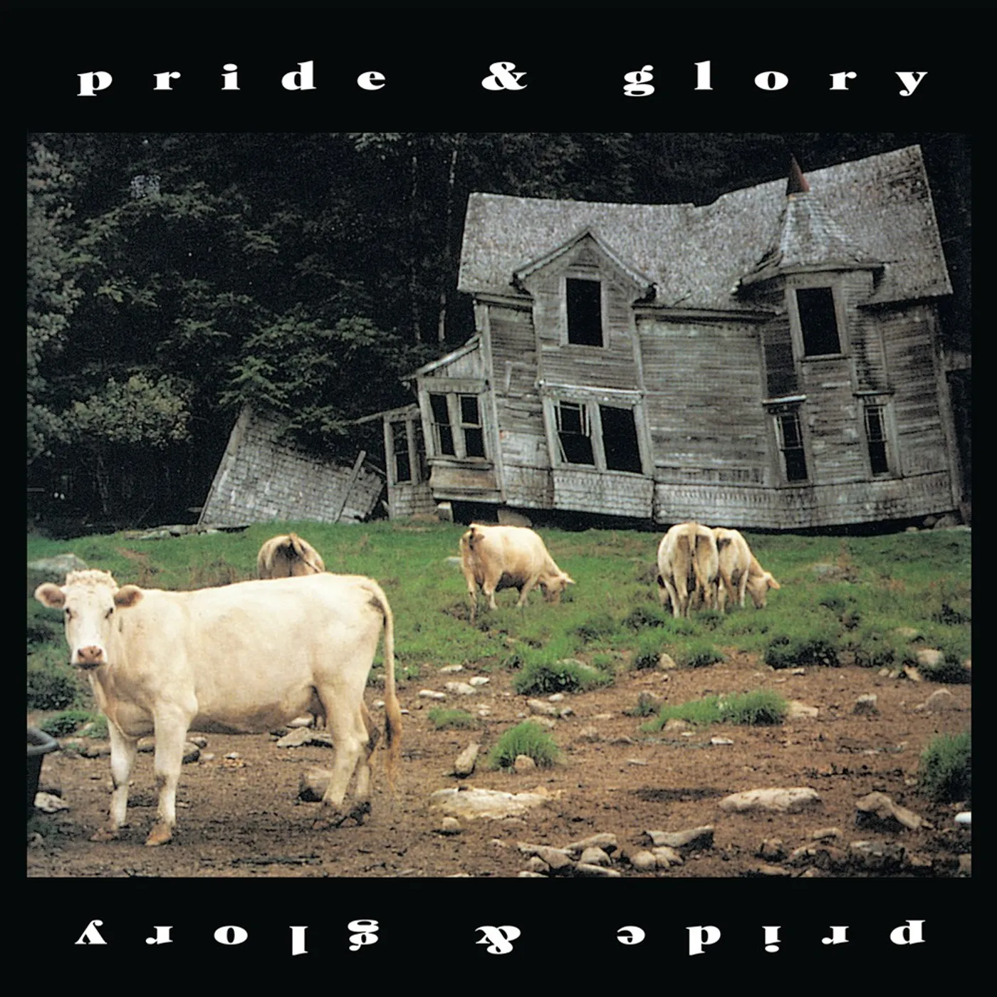 Pride & glory (picture disc)   lp Vinyl Record