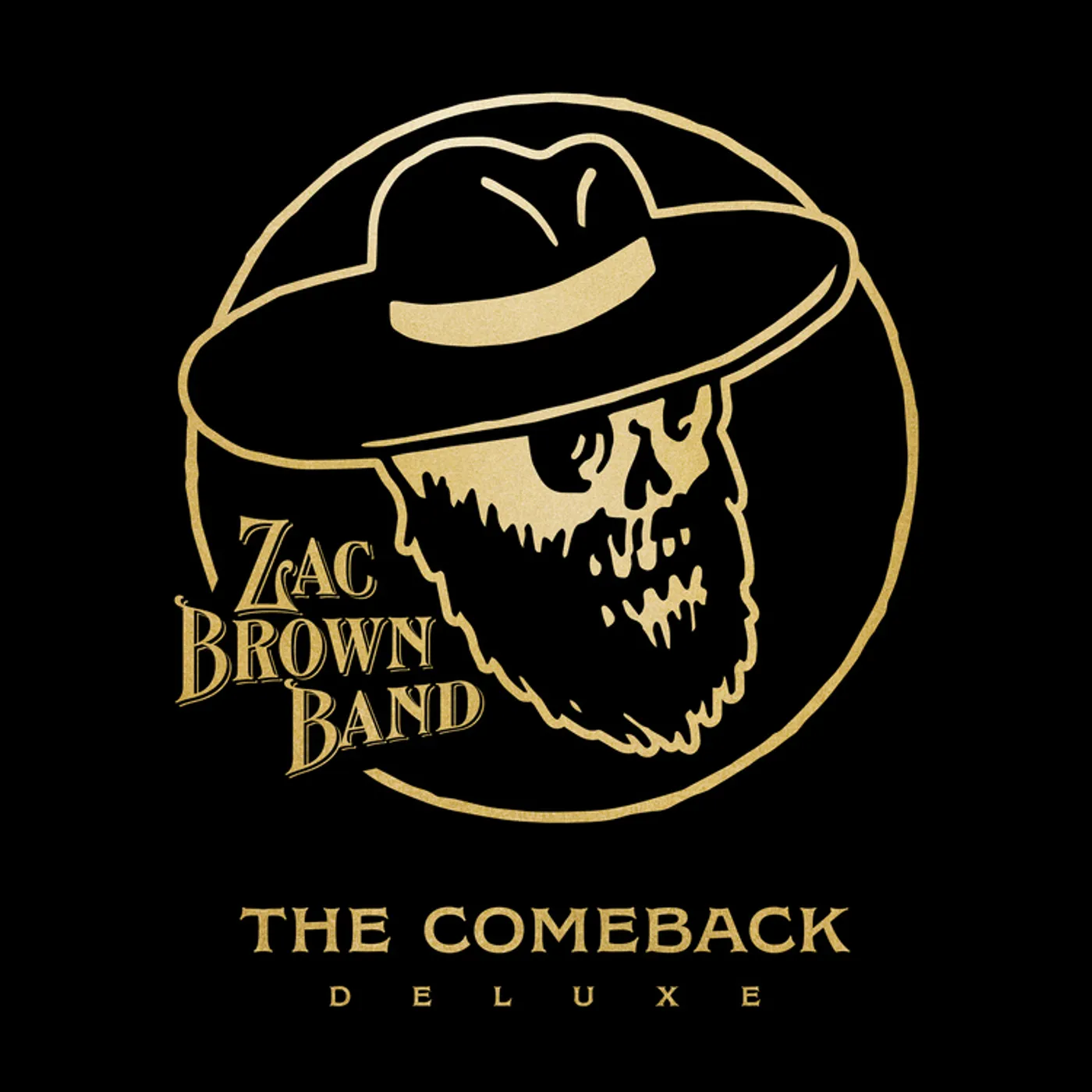 Zac Brown Band The Comeback Vinyl Record