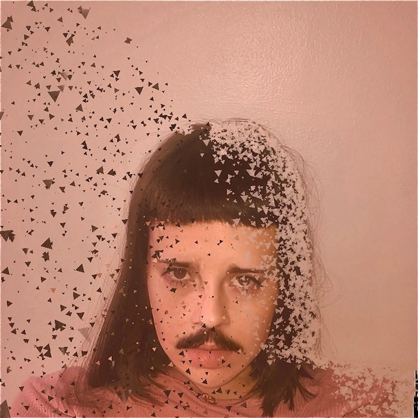 Teri Gender Bender State Of Fear Vinyl Record