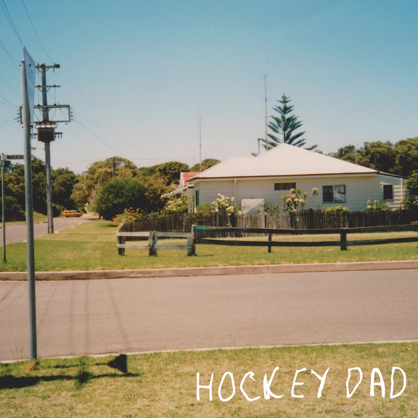 Hockey Dad Dreamin' Vinyl Record