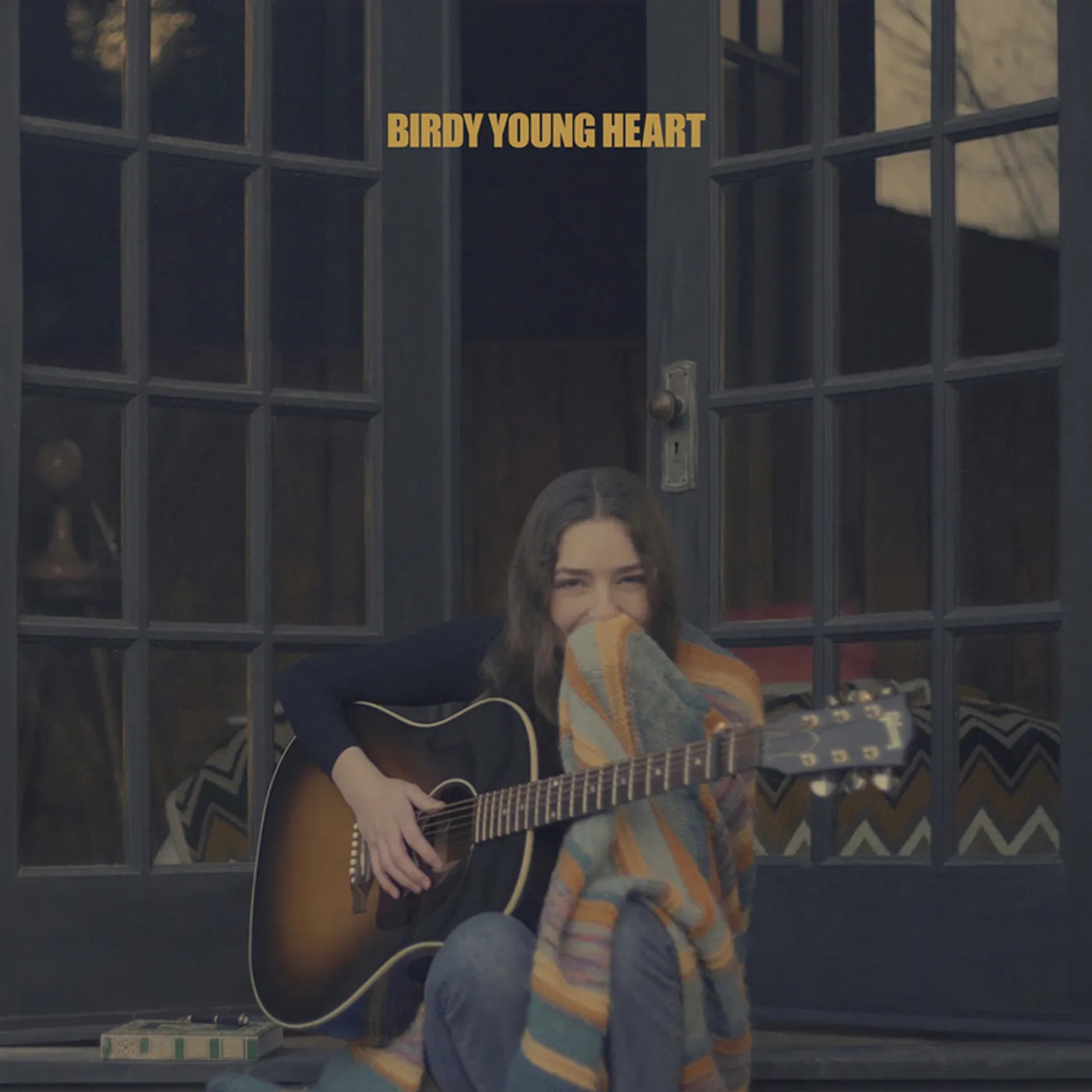 Birdy Young Heart Vinyl Record