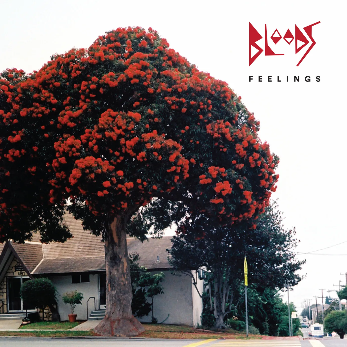 Bloods Feelings Vinyl Record