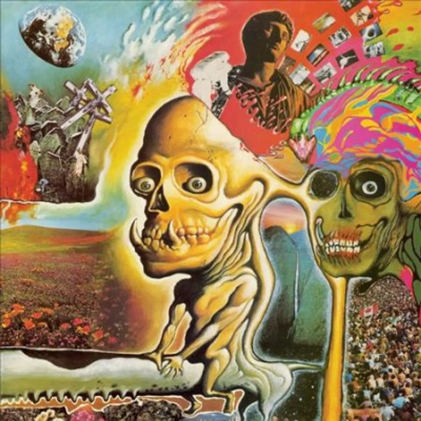 OH MY GAWD... THE FLAMING LIPS Vinyl Record