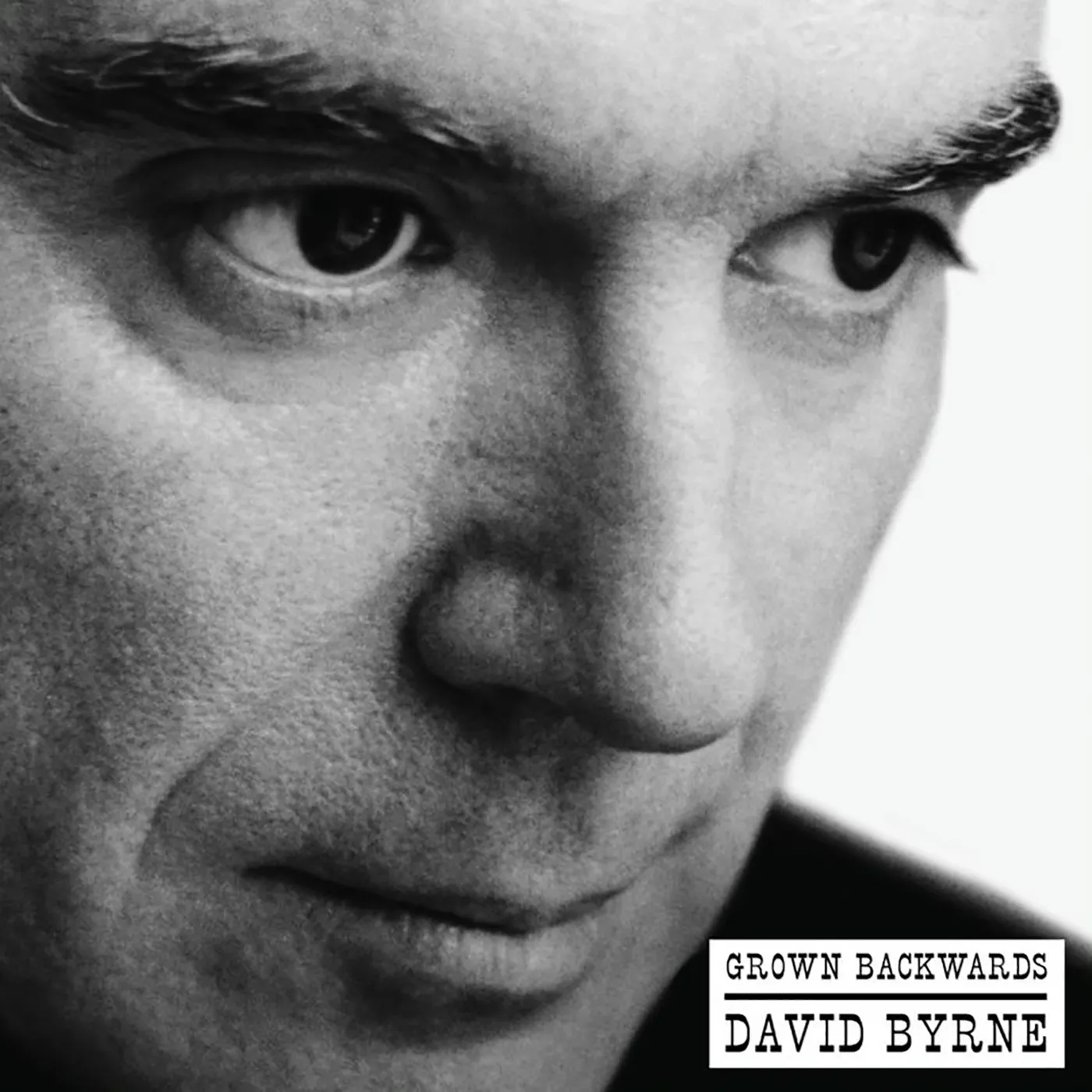 David Byrne Grown Backwards Vinyl Record