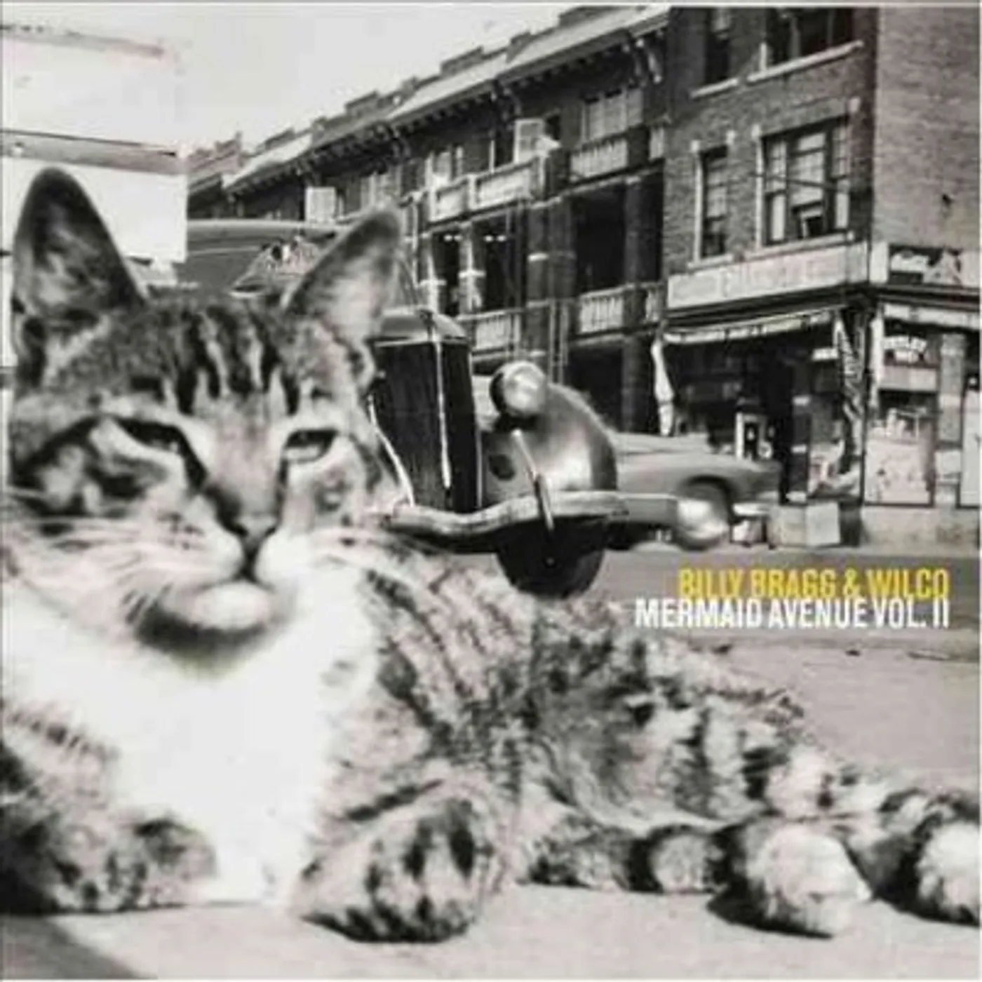 Billy Bragg & Wilco Mermaid Avenue Vol. II Vinyl Record
